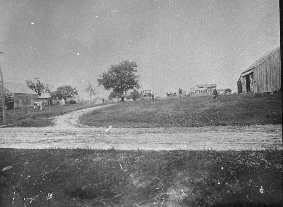 farm in lynbrook